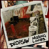 Dropsaw : Missing Limbs
